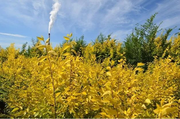 1676810835286286.jpg 微信圖片_20230219204554.jpg