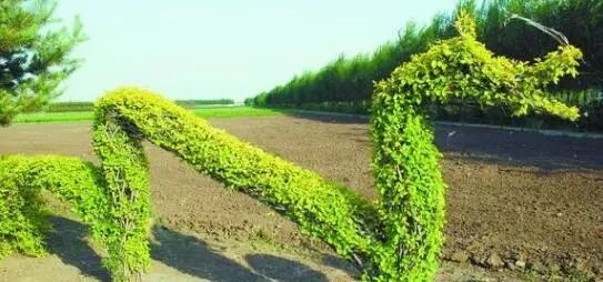 1676810841455344.jpg 微信圖片_20230219204608.jpg