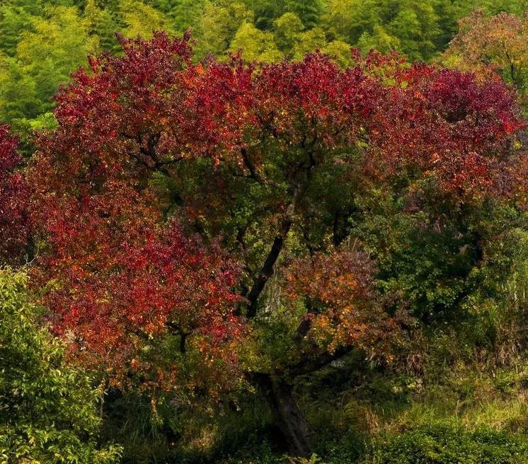 1676898931709385.jpg 微信圖片_20221101145419.jpg