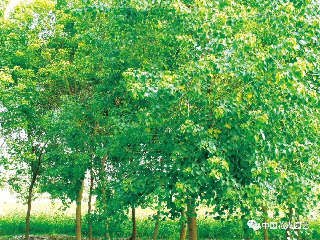 1676898937830841.jpg 微信圖片_20221101145438.jpg