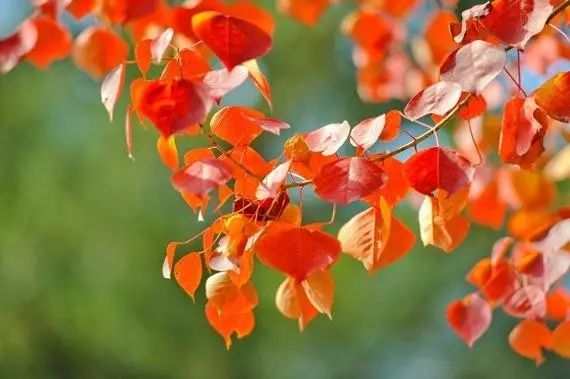 1676898949666173.jpg 微信圖片_20221101145530.jpg