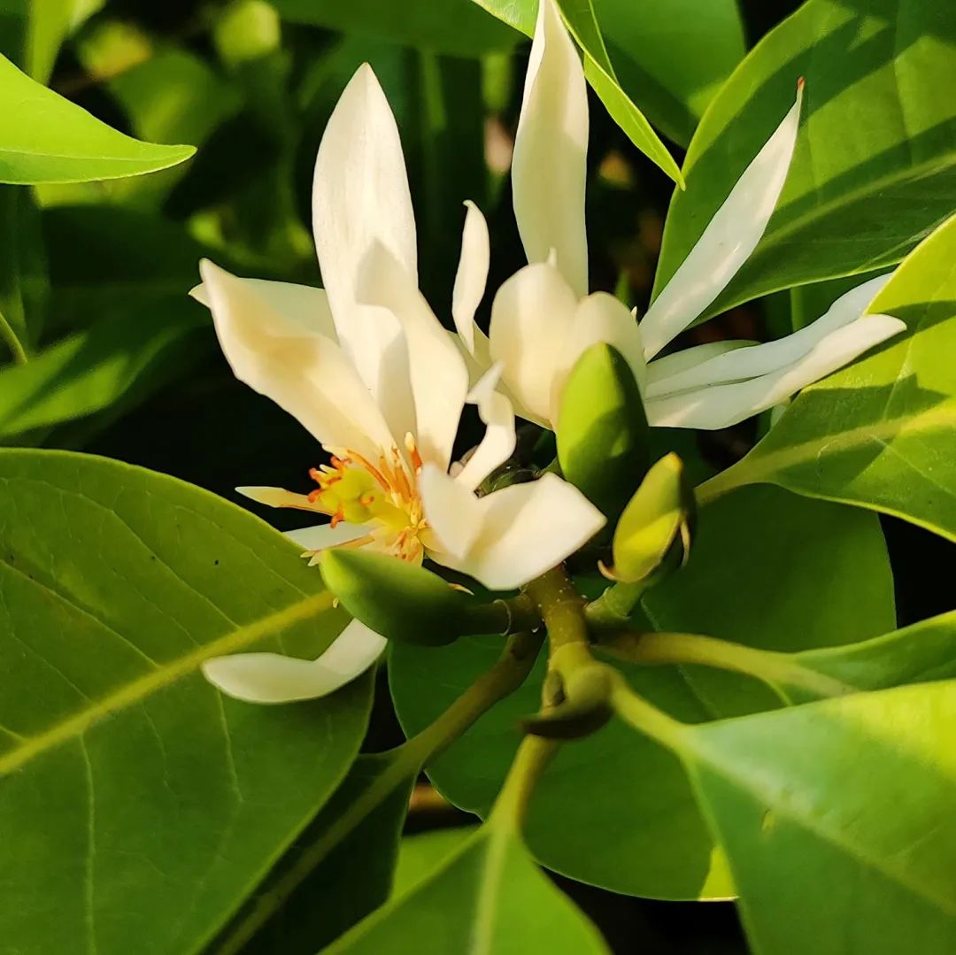 1676899318858453.jpg 微信圖片_20230112000053.jpg