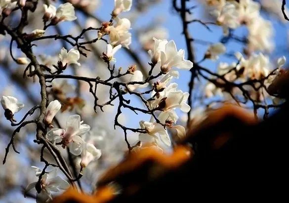 1676899324410914.jpg 微信圖片_20230112000104.jpg