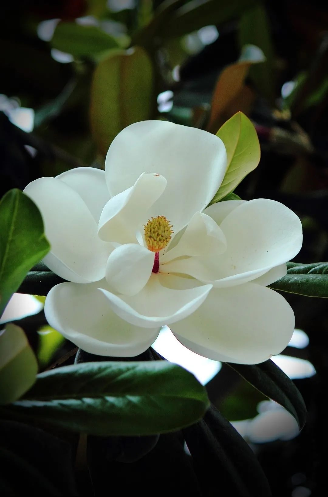 1676899329197531.jpg 微信圖片_20230112000109.jpg