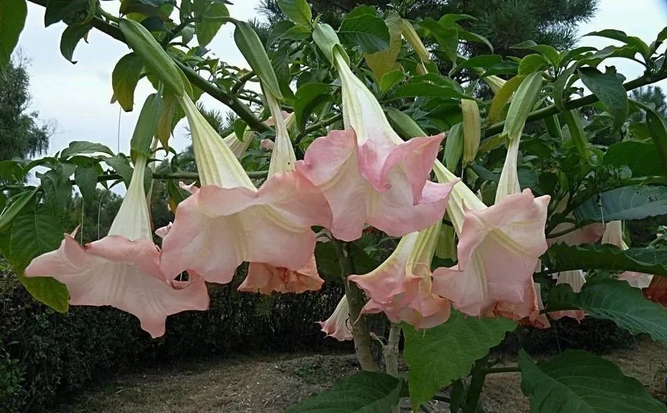 1676899665762931.jpg 微信圖片_20230220202904.jpg