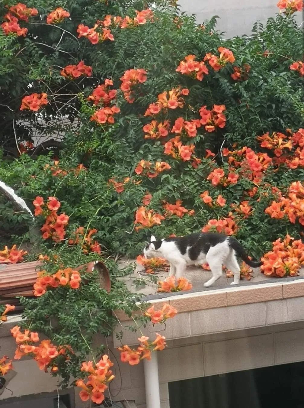 1676899688192317.jpg 微信圖片_20230116072103.jpg