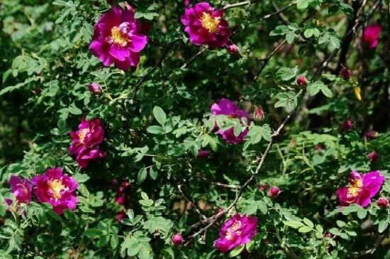 1676899715386416.jpg 微信圖片_20230217211726.jpg