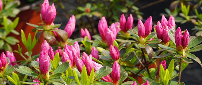 1676899896132456.png 微信圖片_20230220212922.png