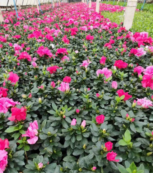 1676899912281914.png 微信圖片_20230220212939.png