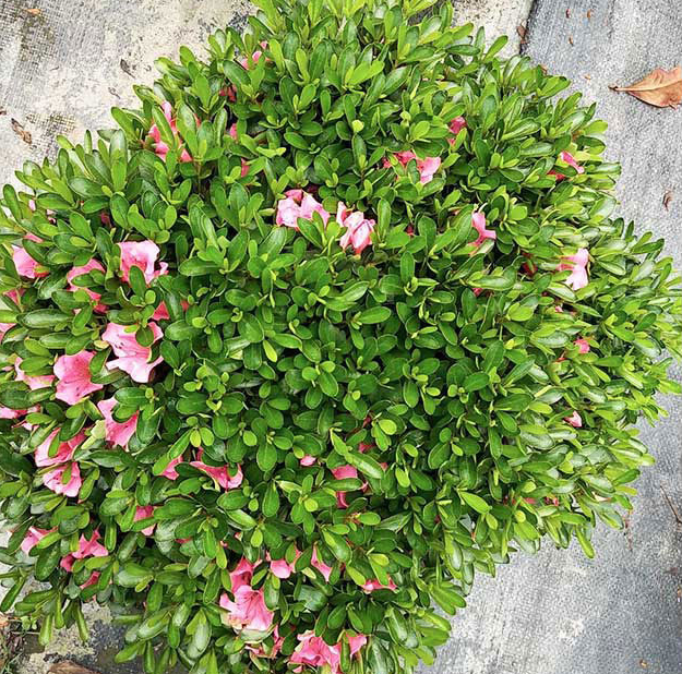 1676899918356065.png 微信圖片_20230220212941.png