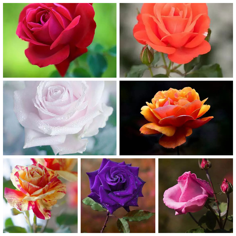 1676900133861244.jpg 微信圖片_20230204215838.jpg