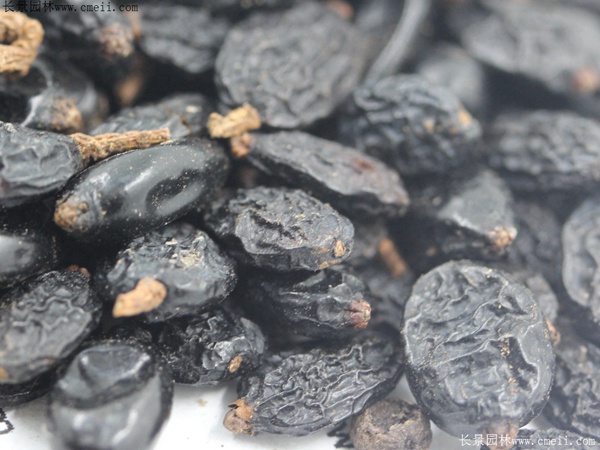 1712629734205123.jpg 1-1F50G40010261.jpg