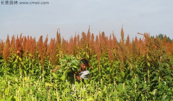 1712804373828964.jpg 1-1F5031202542O.jpg