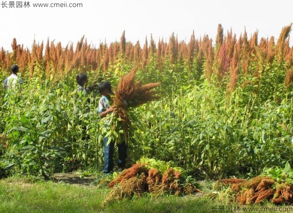 1712804378473545.jpg 1-1F503120255320.jpg