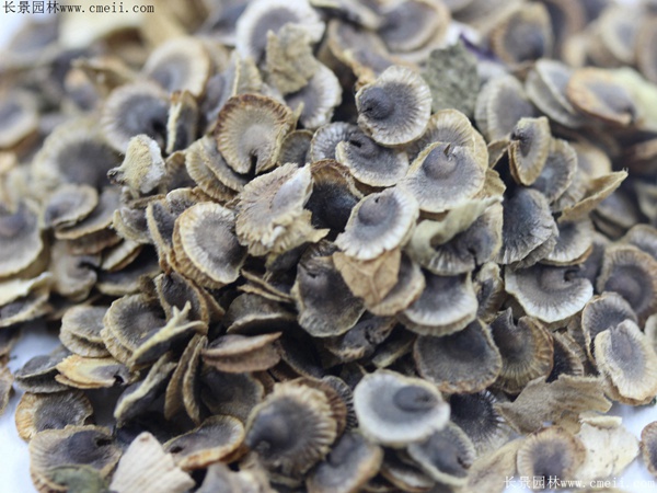 1712815514670369.jpg 1-1F615213609314.jpg