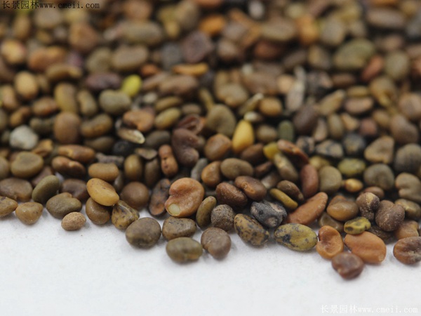 1712888563801941.jpg 1-1F503103640c5.jpg