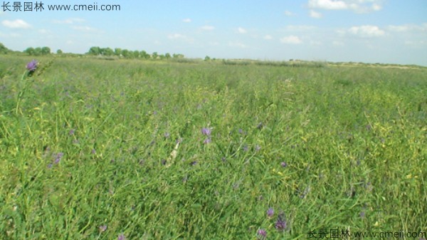 1712888584901730.jpg 1-1F503103642H3.jpg