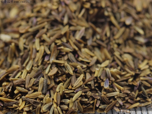 1712900753253986.jpg 1-1FF9102332S1.jpg