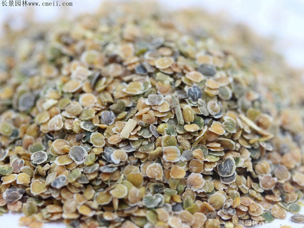 1712901003401850.jpg 1-1FF211500L58.jpg