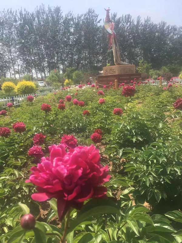 1712901770981319.jpg 1-1P911092152639.JPG