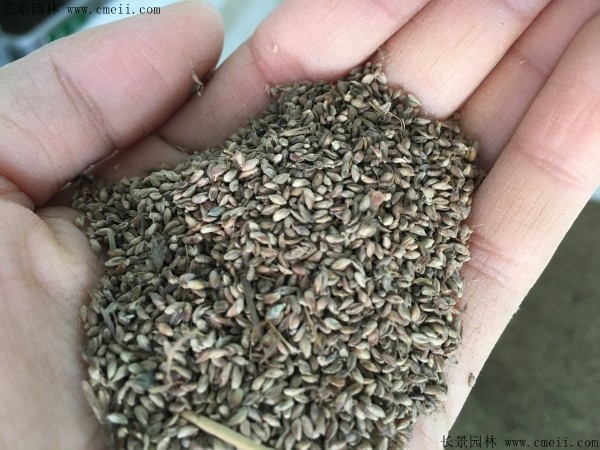 1712902606341593.jpg 1-1FF2114A12O.jpg