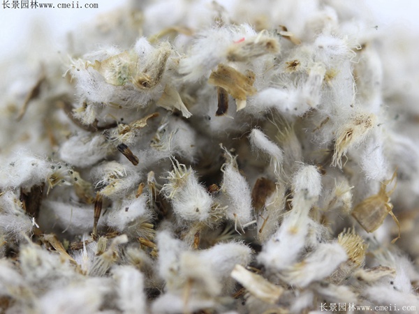 1712903095441934.jpg 1-1FF3092450C7.jpg