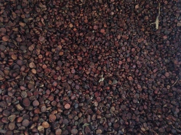 1713168666904116.jpg 1-1F50R121435T.jpg