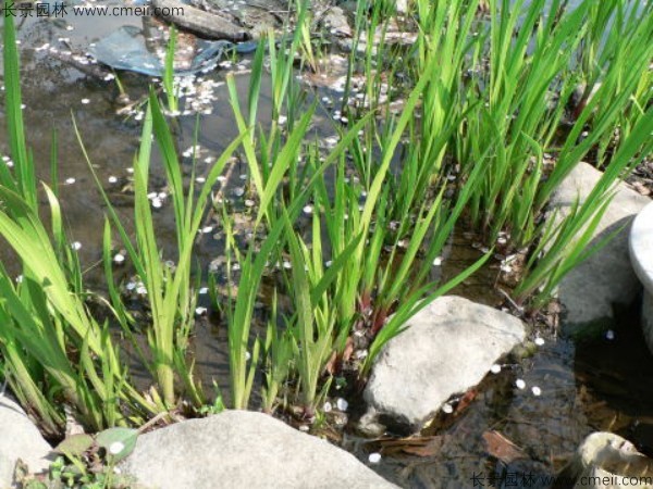 1713168671580776.jpg 1-1F50R12143345.jpg