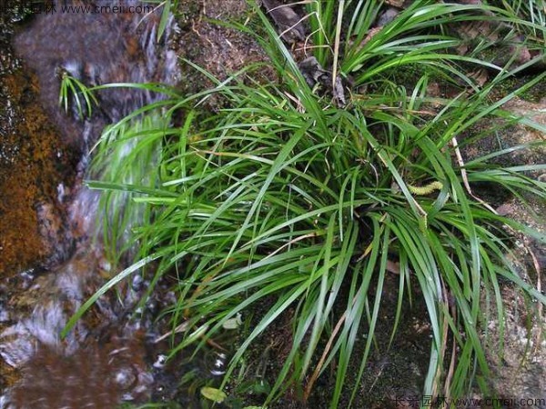 1713168680857610.jpg 1-1F50R1214E27.jpg