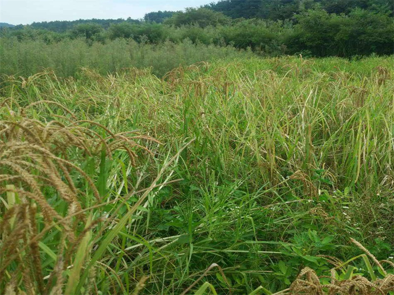 1661865220349005.jpg 4b666f1bc8a1b9005fbf9e65c1a4067.jpg